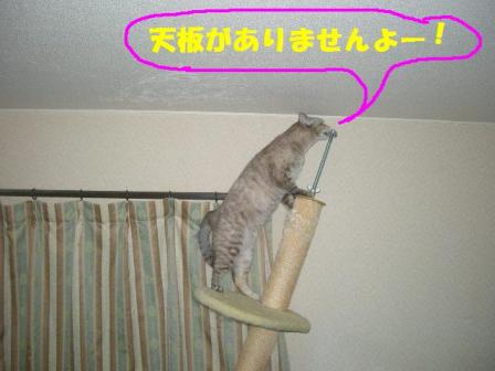2010-10-28 09:25:47