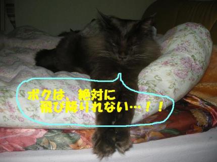 2010-05-07 09:24:40