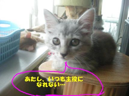 2010-10-05 10:13:01