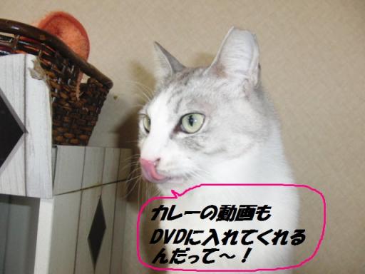 2012-01-20 09:54:48