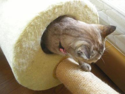 2010-05-20 09:54:38