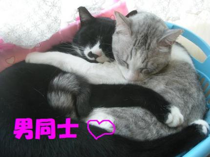2010-10-05 10:15:30