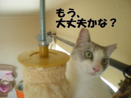 2010-05-20 09:55:07