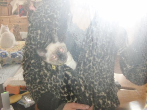 2012-01-24 10:03:23