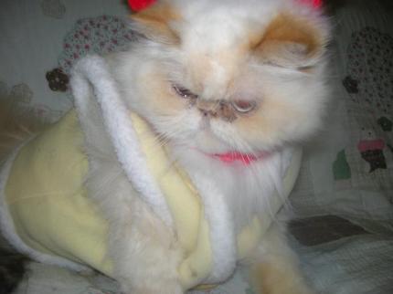 2010-02-17 10:23:03