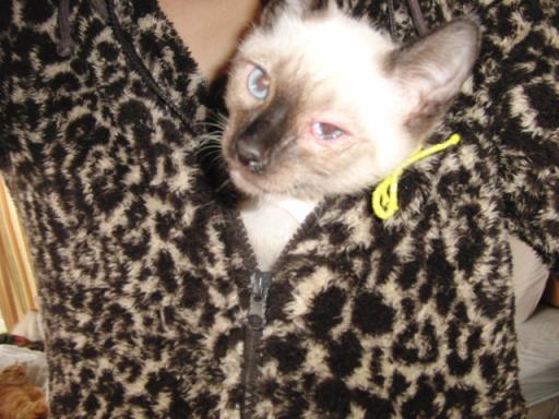 2012-01-24 10:04:14