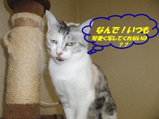 2012-01-28 12:38:02