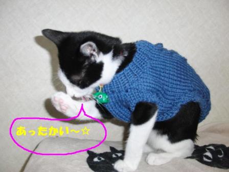 2010-12-26 10:13:25