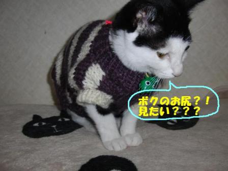 2010-12-26 10:13:49