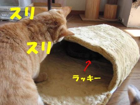 2010-12-19 11:24:20