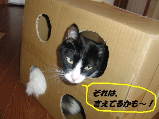 2012-01-28 13:04:13