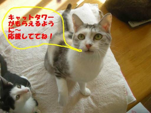 2010-12-01 10:58:37
