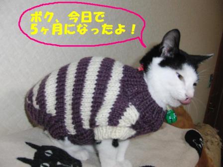 2010-12-26 10:14:37