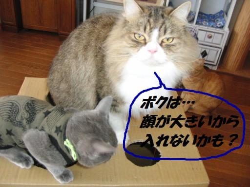 2012-01-27 09:00:46