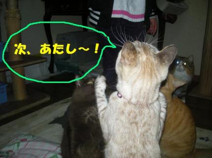 2010-02-20 12:33:35