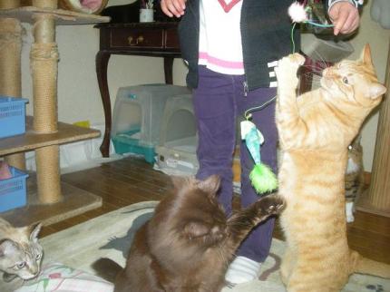 2010-02-20 12:33:55