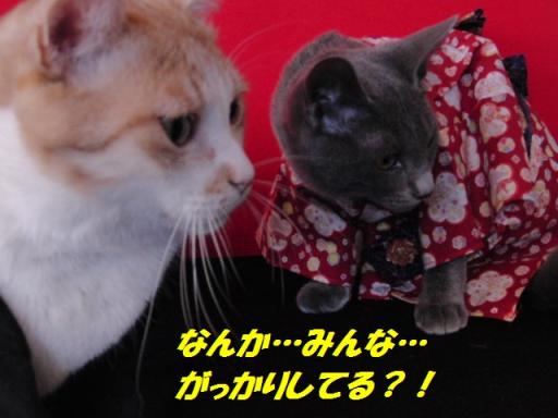 2012-01-09 08:17:02