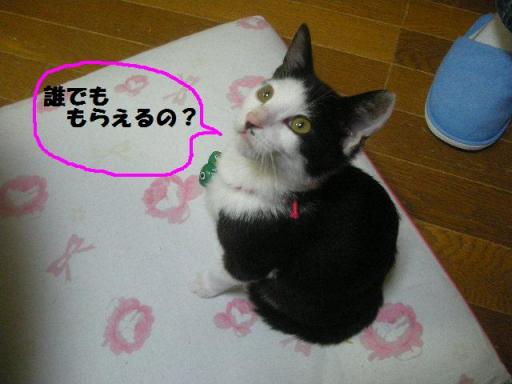2010-11-30 09:46:32