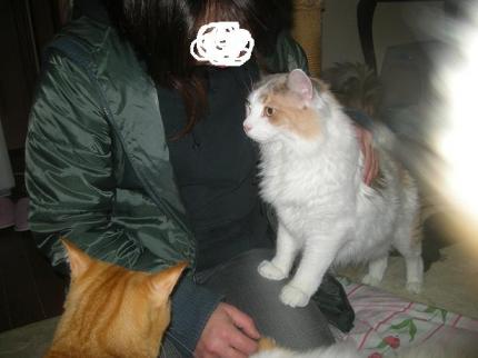 2010-02-20 12:34:36