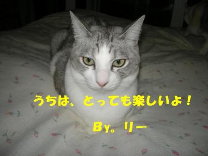 2010-02-20 12:34:57