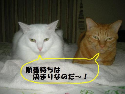 2010-12-01 11:00:45