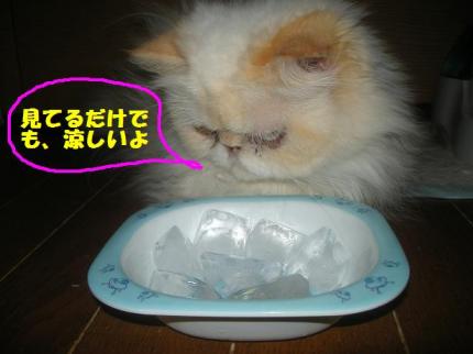 2010-07-23 09:27:41