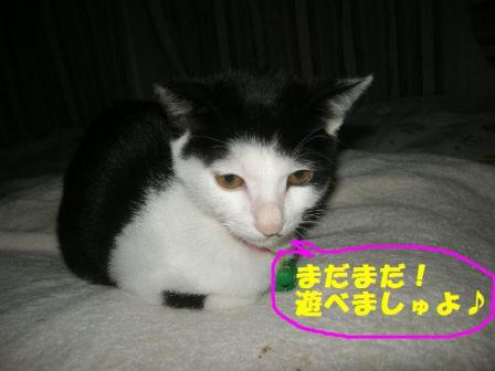 2010-12-01 11:02:02