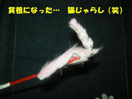 2010-12-01 11:02:48