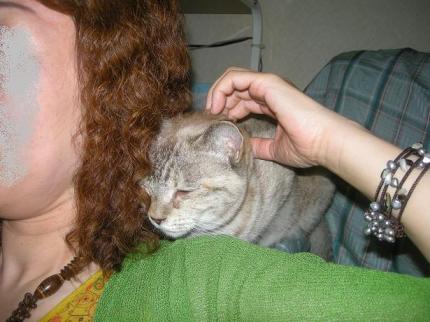 2010-06-27 10:26:53