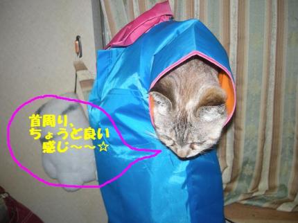 2010-06-30 10:13:01