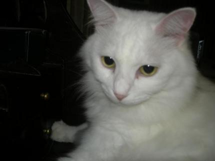 2009-10-22 10:11:10