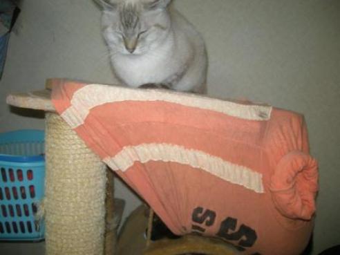 2010-11-30 09:50:10