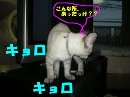 2010-06-27 10:27:20