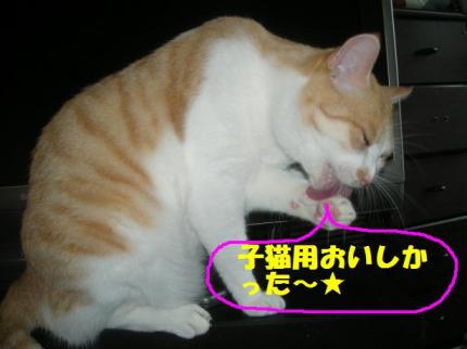 2010-06-20 10:06:17