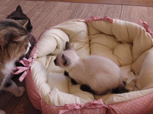 2012-01-10 09:13:21