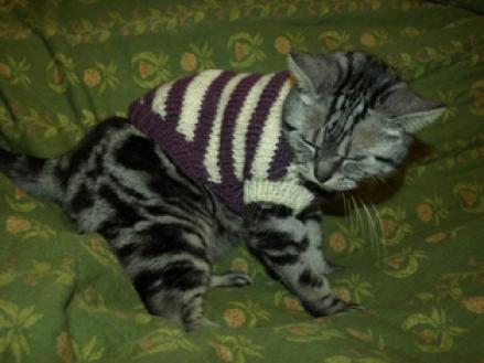 2010-12-26 10:19:25