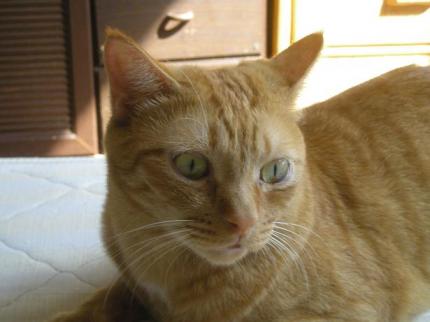2009-10-22 10:12:39