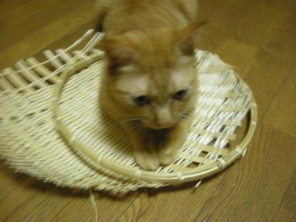 2010-09-20 10:32:59
