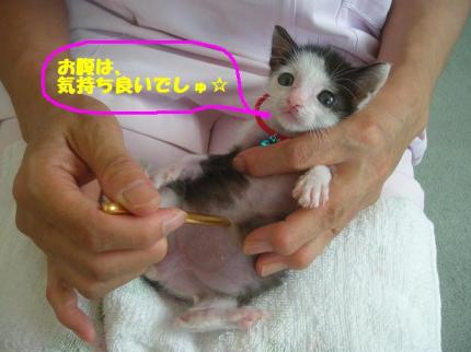 2010-09-03 10:12:28
