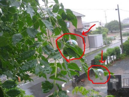 2010-06-20 10:09:49