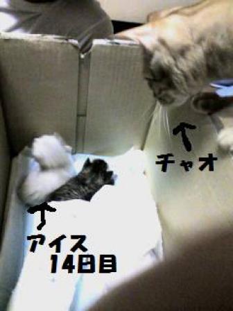 2010-02-09 19:33:23