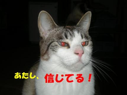 2010-05-13 09:50:39