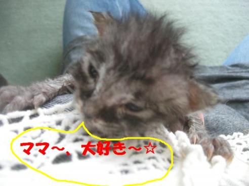 2010-05-15 16:42:22