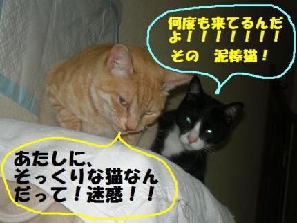 2010-05-07 09:37:30