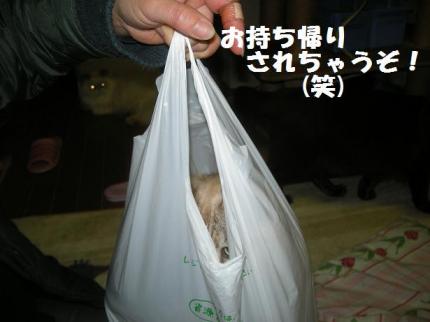 2010-02-20 12:40:14