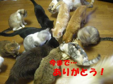 2010-09-20 10:35:08