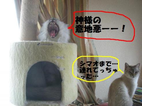 2010-05-15 16:42:42