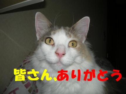 2010-02-28 07:55:56