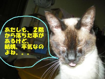 2010-05-07 09:38:47