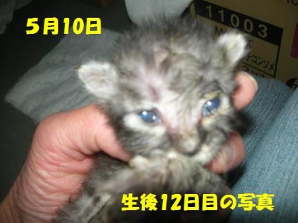 2010-05-15 16:43:07